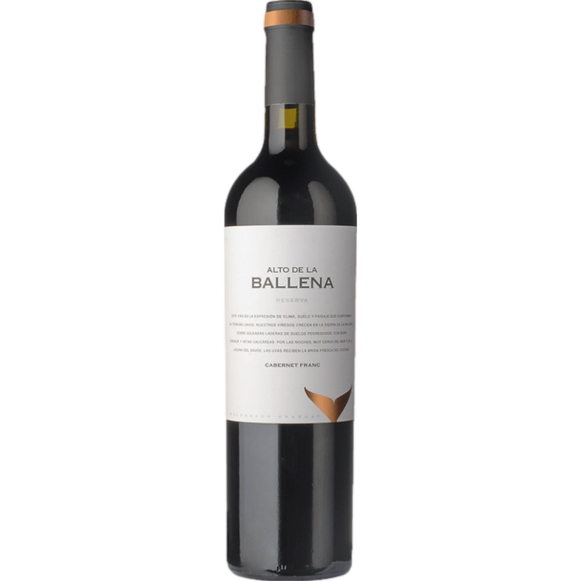 Reserva Cabernet Franc, Maldonado, Montevideo, 2018, Rotwein von Atlantik Weine e.K., Finkenweg 7, 65375 Oestrich-Winkel