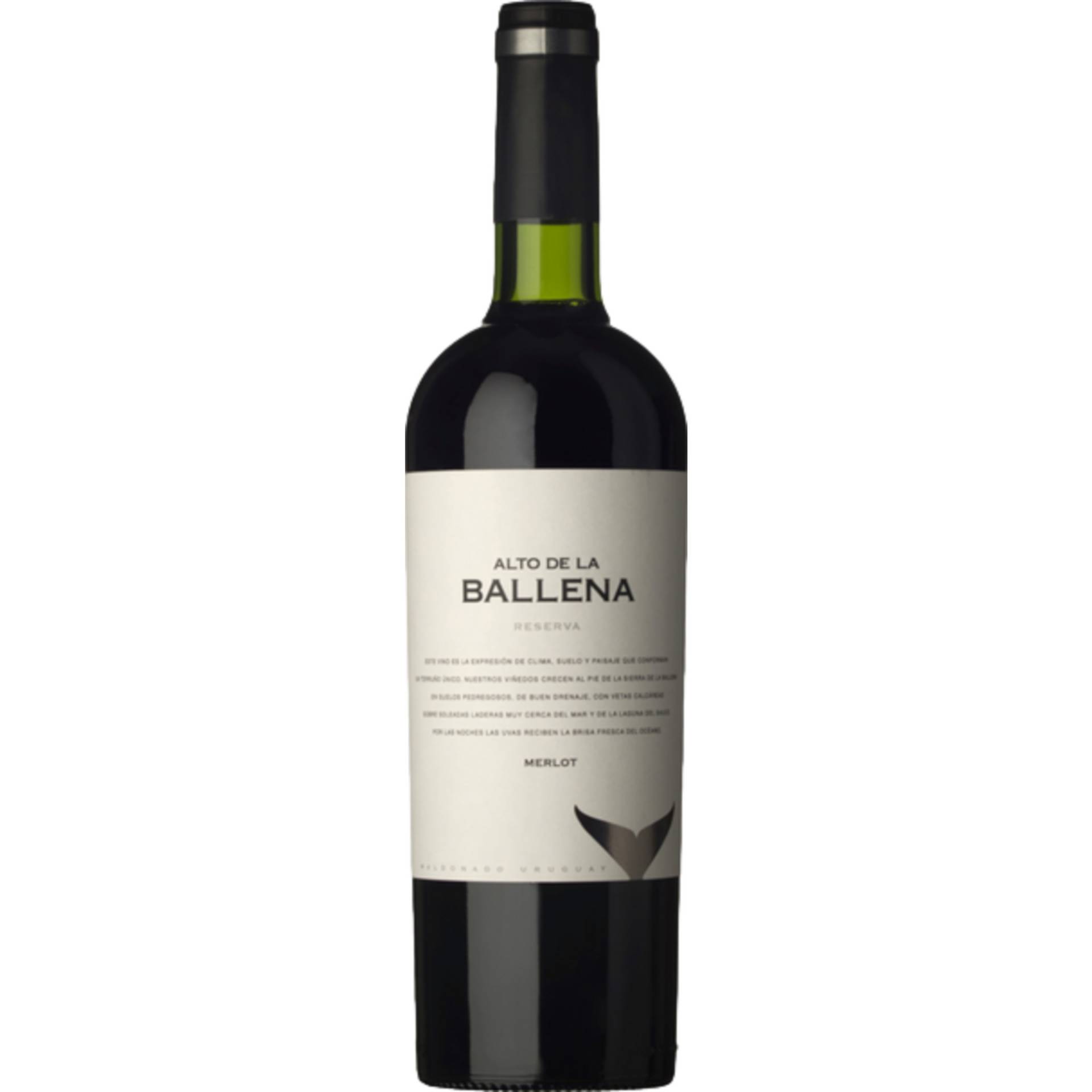 Reserva Merlot, Maldonado, Montevideo, 2016, Rotwein von Atlantik Weine e.K., Finkenweg 7, 65375 Oestrich-Winkel