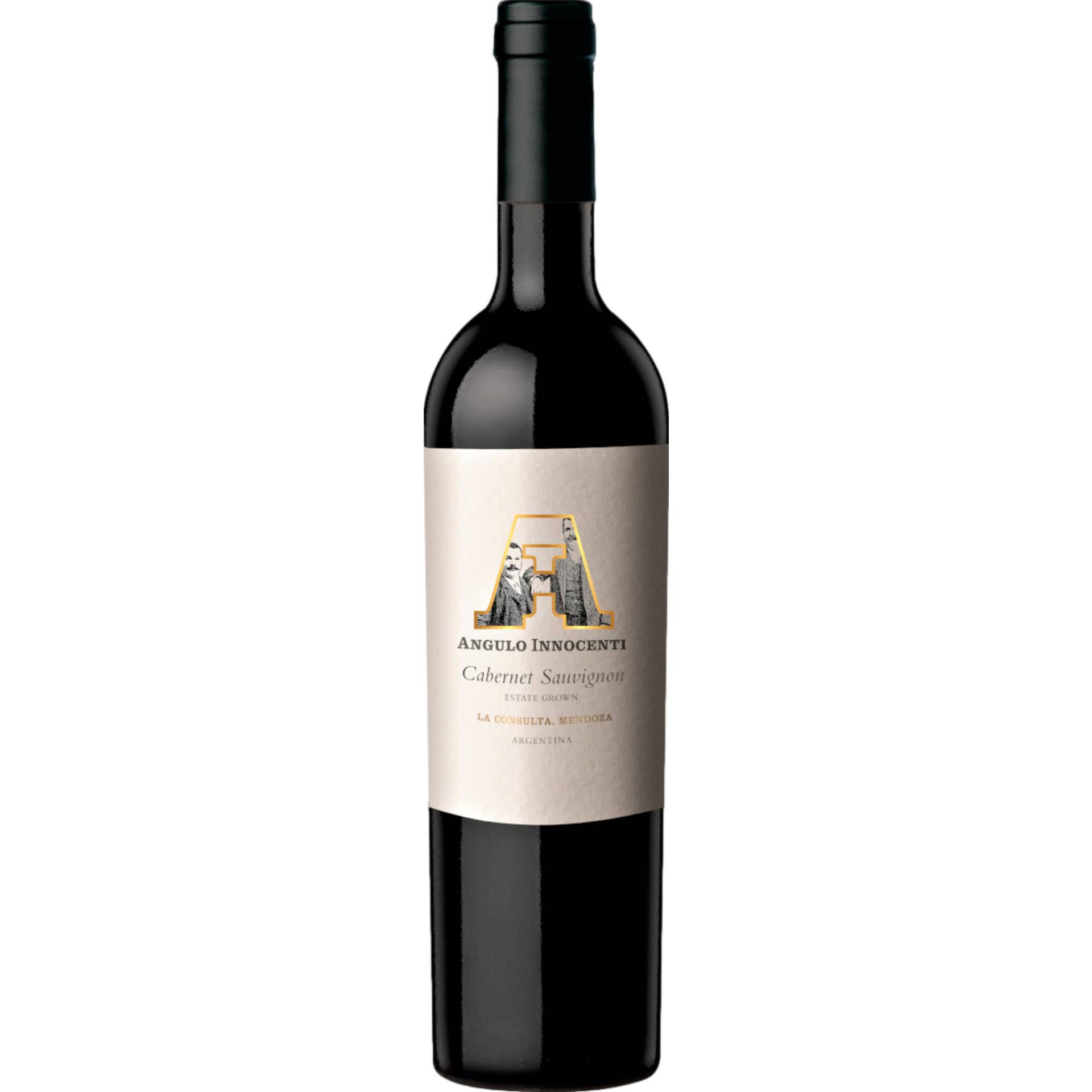 AI Cabernet Sauvignon, Mendoza, Mendoza, 2017, Rotwein von Atlantik Weine e.K. | Finkenweg 7 | 65375 Oestrich-Winkel