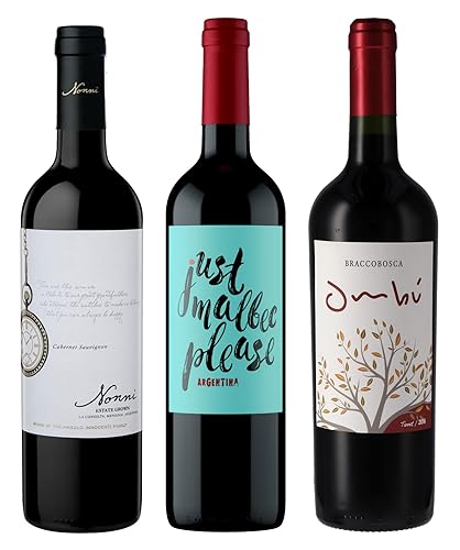 Atlantik Weine, Südamerika Einstiegspaket mit Rotwein aus Argentinien und Uruguay, Weinpaket mit Malbec, Cabernet Sauvignon & Tannat (3 x 0,75l) von ATLANTIK