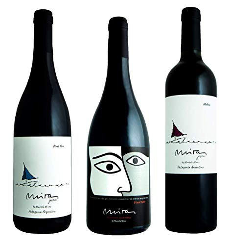 Atlantik Weine, Südamerika Weinpaket Patagonien mit Rotweinen aus Argentinien, Malbec und Pinot Noir aus Nord Patagonien, trocken (3 x 0,75l) von ATLANTIK