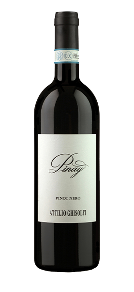 "Pinay" Pinot Nero Langhe DOC 2016 von Attilio Ghisolfi