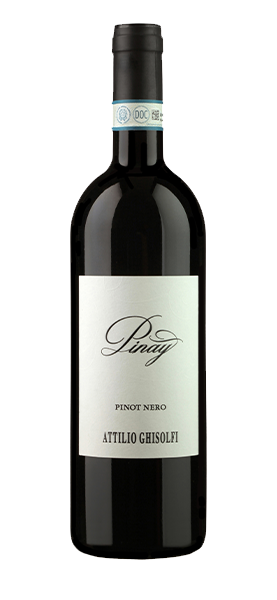 "Pinay" Pinot Nero Langhe DOC 2016 von Attilio Ghisolfi