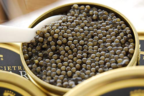 Attilus Kaviar Royal Oscietra Caviar (250g) von ATTILUS CAVIAR