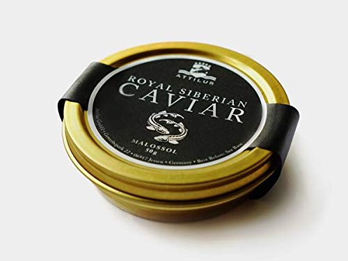 Attilus Kaviar Royal Siberian Caviar (125g) von ATTILUS CAVIAR