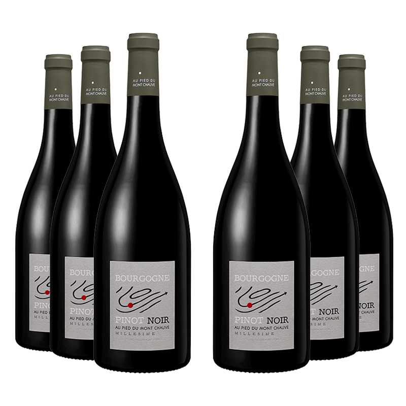 Au Pied du Mont Chauve : Bourgogne Pinot Noir 2022 Au Pied du Mont Chauve : Bourgogne Pinot Noir 2022 von Au Pied du Mont Chauve