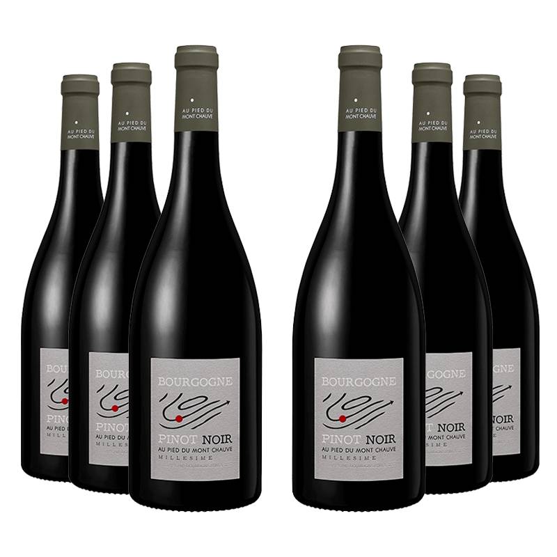 Au Pied du Mont Chauve : Bourgogne Pinot Noir 2022 von Au Pied du Mont Chauve