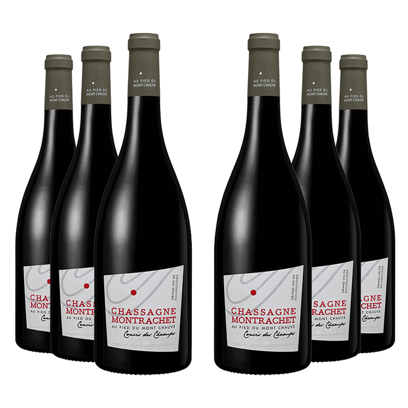 Au Pied du Mont Chauve : Chassagne-Montrachet Village "Concis des Champs" 2022 Au Pied du Mont Chauve : Chassagne-Montrachet Village "Concis des Champs" 2022 von Au Pied du Mont Chauve