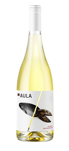 Macebeo Sauvignon Blanc 2023 von Aula Grupo Coviñas