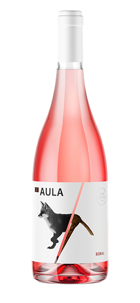 Bobal Rosé 2023 von Aula Grupo Coviñas