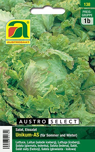 Austrosaat 138 Eissalat Unikum-AS (Eissalatsamen) von Austrosaat