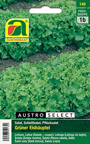 Austrosaat 149 Schnittsalat Grüner Eishäuptel (Schnittsalatsamen) von Austrosaat
