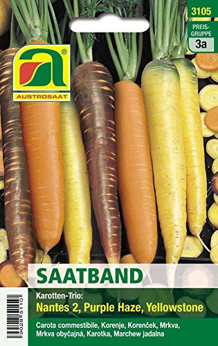 Austrosaat 3105 Karotten-Trio (Saatband) (Karottensamen) von Austrosaat