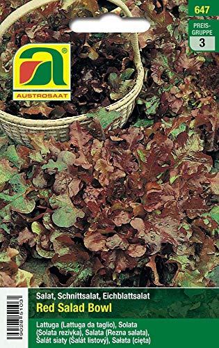 Austrosaat 647 Schnittsalat Red Salad Bowl (Schnittsalatsamen) von Austrosaat