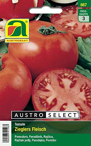 Austrosaat 667 Tomaten Zieglers Fleisch (Tomatensamen) von Austrosaat