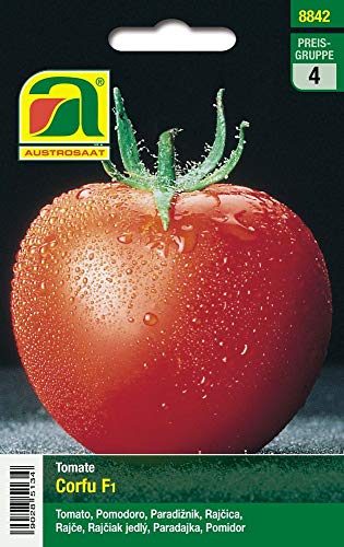 Austrosaat 8842 Tomate Corfu F1 (Tomatensamen) von Austrosaat