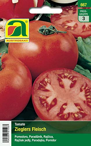 Tomate, Zieglers Fleisch Tomate, Zieglers Fleisch von Austrosaat