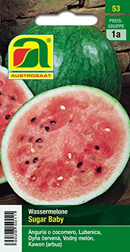 Wassermelone, Sugar Baby Wassermelone, Sugar Baby von Austrosaat