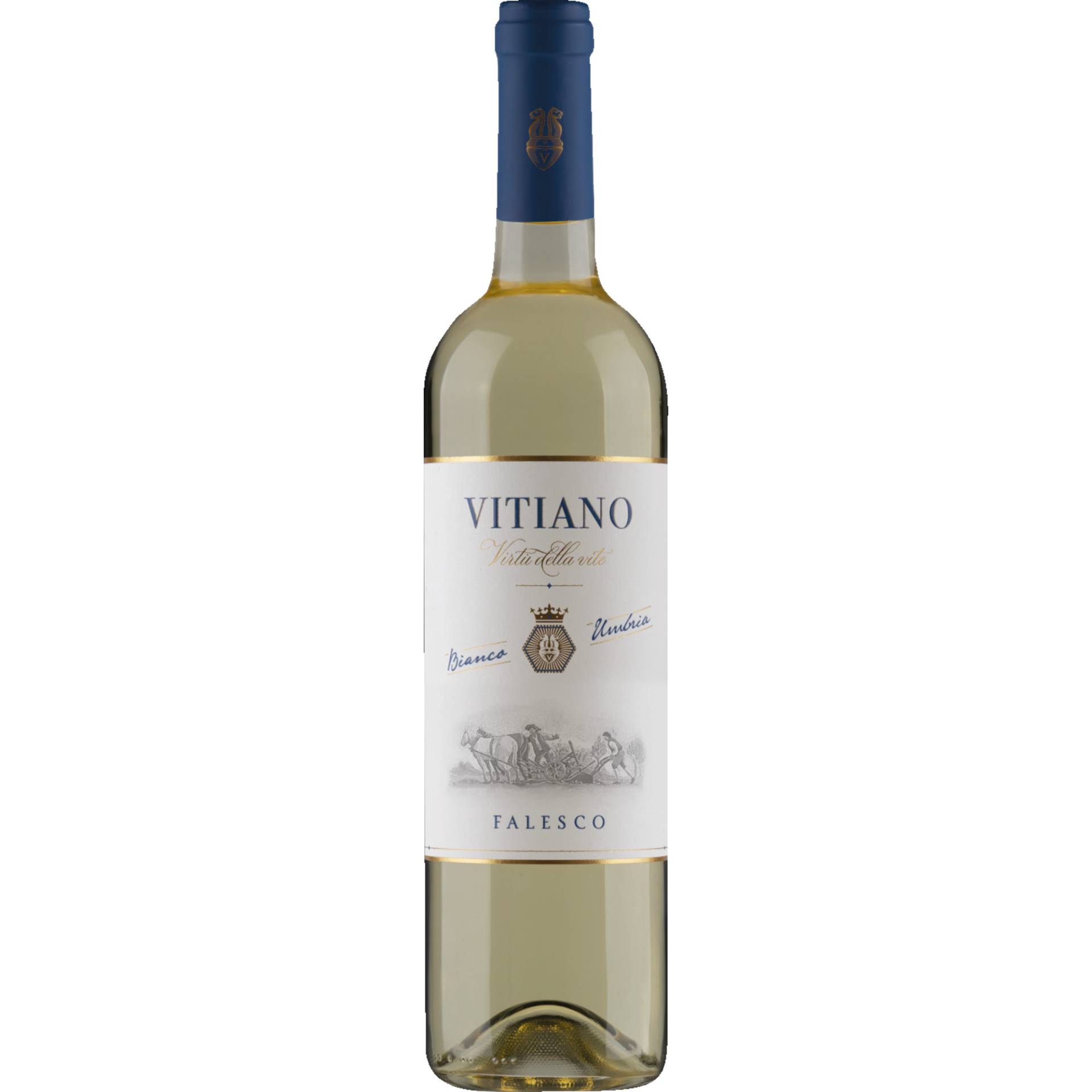 Vitiano Bianco, Vino Bianco Umbria IGP, Umbrien, 2022, Weißwein von Az. Vinicola Falesco Srl.,05020,Montecchio TR,Italien
