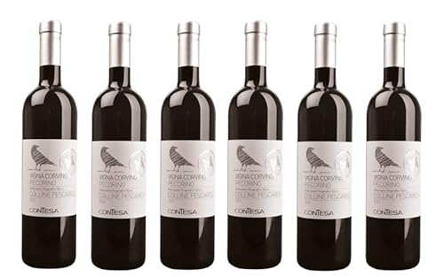 6x 0,75l - 2023er - Contesa - Vigna Corvino - Pecorino - Collini Pescaresi I.G.P. - Abruzzen - Italien - Weißwein trocken 6x 0,75l - 2023er - Contesa - Vigna Corvino - Pecorino - Collini Pescaresi I.G.P. - Abruzzen - Italien - Weißwein trocken von Azienda Agricola Contesa