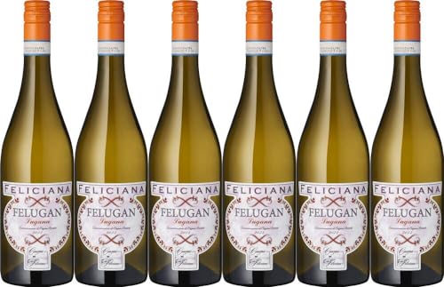 6x Feliciana Felugan Lugana Lombardei 2022 - Azienda Agricola Feliciana, Lombardia - Weißwein von Azienda Agricola Feliciana