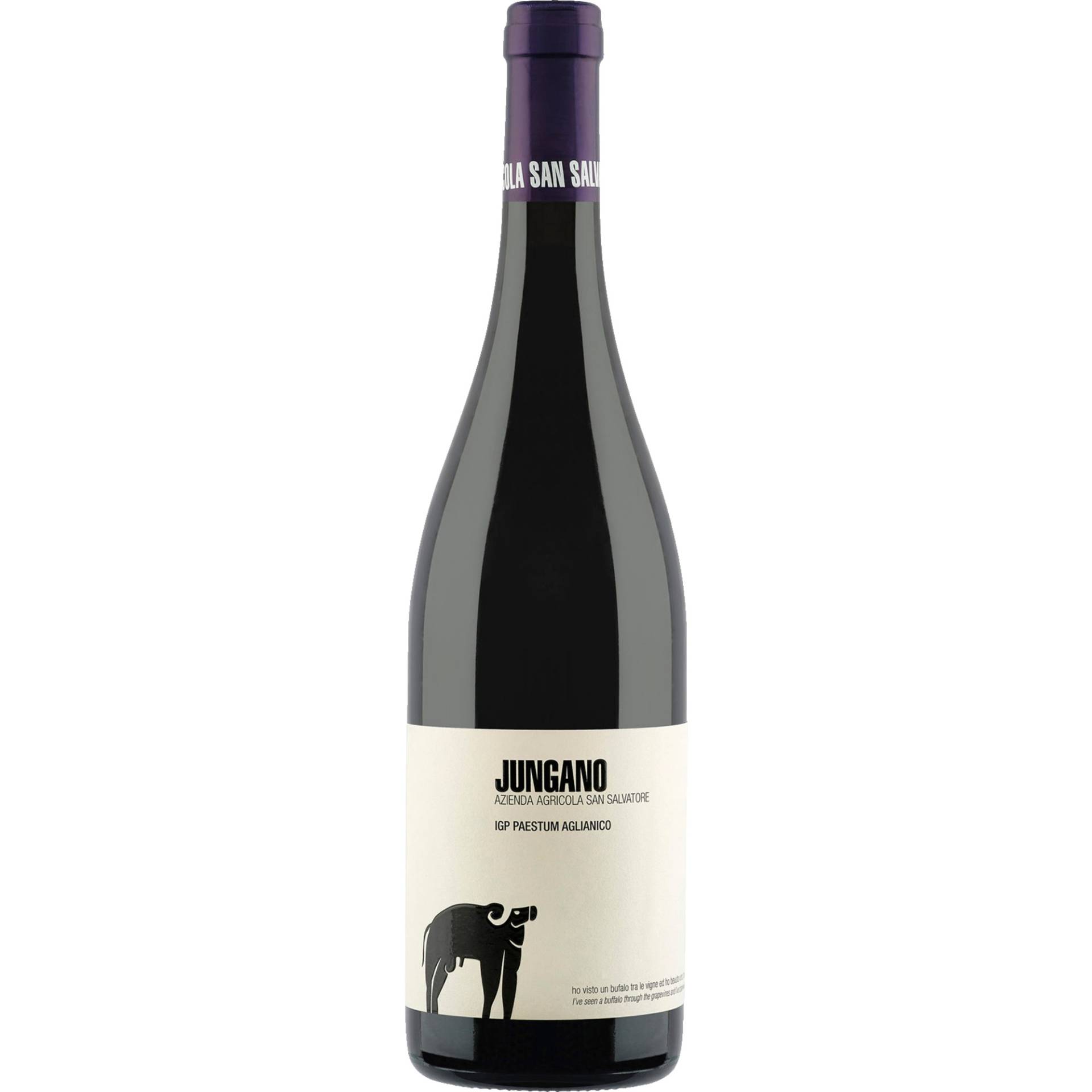 Jungano Aglianico, Paestum IGP, Kampanien, 2021, Rotwein von Azienda Agricola San Salvatore,84075,Stio (Sa),Italien