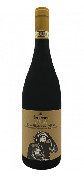 "Sapiens" Cesanese del Piglio DOCG 2021 "Sapiens" Cesanese del Piglio DOCG 2021 von Azienda Vinicola Federici