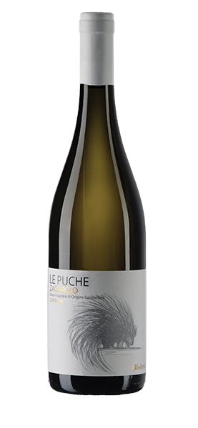 "Le Puche" Zagarolo DOC Bianco 2023 "Le Puche" Zagarolo DOC Bianco 2023 von Azienda Vinicola Federici