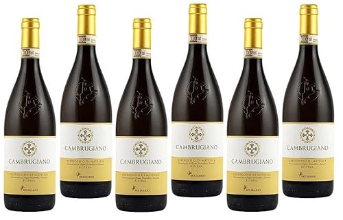 BELISARIO CAMBRUGIANO 2020 VERDICCHIO DI MATELICA RISERVA DOCG 75 CL 6 FLASCHEN von BELISARIO