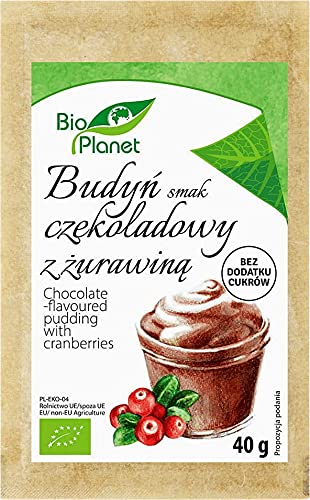 SCHOKOLADENGESCHMACKGEBÄUDE MIT CRANBERRY BIO 40 g - BIO PLANET von BIO PLANET