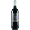 BIO Weingut Lay 2020 Cabernet Sauvignon Reserve Glockenschlag trocken von BIO Weingut Lay