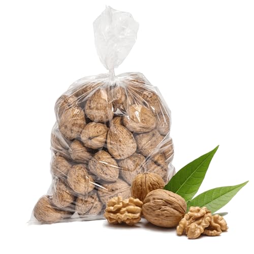 Boomers Gourmet - Frische Walnüsse mit Schale 36mm+ I Walnüsse 10kg Premium Qualität aus Chile I Neue Ernte - 10 Kg Karton Boomers Gourmet - Frische Walnüsse mit Schale 36mm+ I Walnüsse 10kg Premium Qualität aus Chile I Neue Ernte - 10 Kg Karton von BOOMERS GOURMET