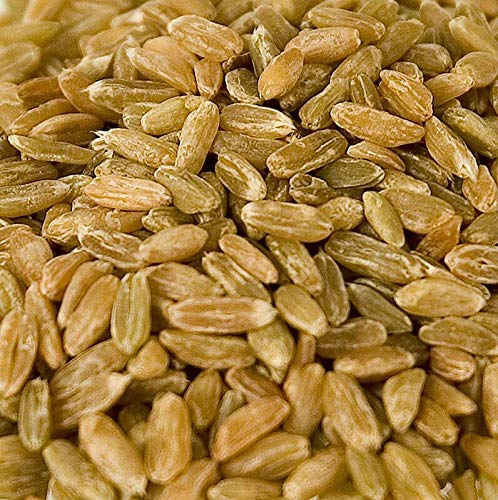Grünkern, ganz, holzgedarrt, 1 kg Grünkern, ganz, holzgedarrt, 1 kg von BOS FOOD Duesseldorf Lebensmittel Großhandel GmbH