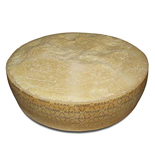 Grana Padano, 1te Qualität, 16 Monate alt, halber Laib, ca.17,5 kg Grana Padano, 1te Qualität, 16 Monate alt, halber Laib, ca.17,5 kg von BOS FOOD Düsseldorf Lebensmittelgroßhandel GmbH