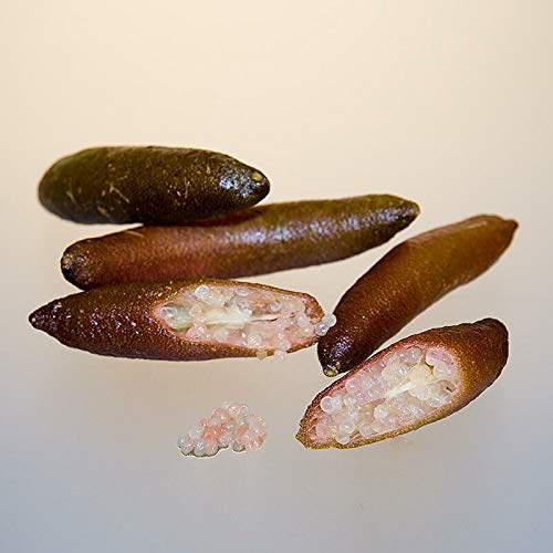 Finger-Limes, ca. 60-70 Stück, TK, 1 kg von BOS FOOD GmbH