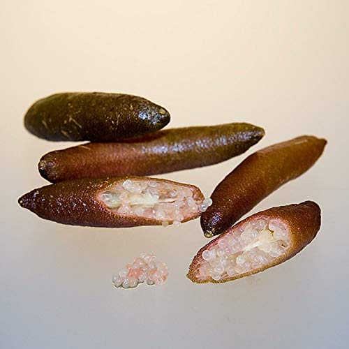Finger-Limes, ca. 60-70 Stück, TK, 1 kg von BOS FOOD GmbH