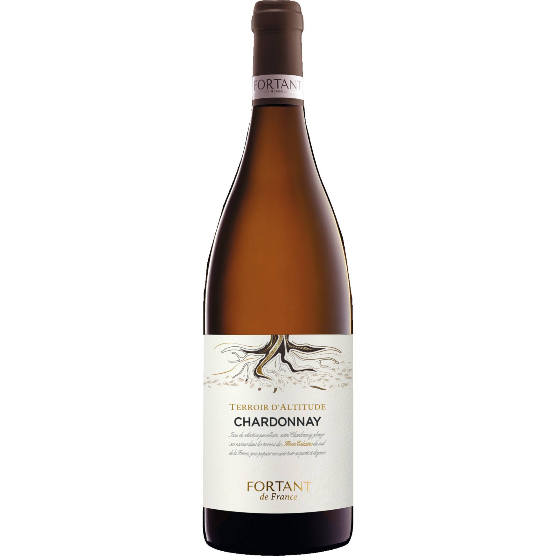 Terroir d'Altitude Chardonnay, Pays d'Oc IGP, Languedoc-Roussillon, 2023, Weißwein Terroir d'Altitude Chardonnay, Pays d'Oc IGP, Languedoc-Roussillon, 2023, Weißwein von BOTTLED AT QUINCIÉ BY FORTANT AT SÈTE - FRANCE