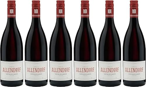 Allendorf Spätburgunder trocken VDP.Gutswein - 6x 0,75l. - inkl. BOTTLEROCKET Untersetzer von BOTTLEROCKET