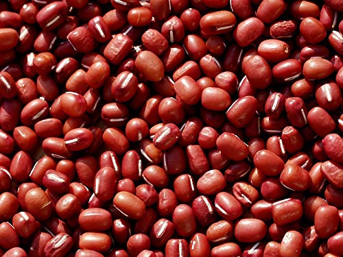 200g Bio rote Adzuki Bohnen, Red Chori, Vigna Angularis Kochen Keimbohnen, Suppen, Eintöpfe, Aufläufe, Curries Desserts Protein 200g Bio rote Adzuki Bohnen, Red Chori, Vigna Angularis Kochen Keimbohnen, Suppen, Eintöpfe, Aufläufe, Curries Desserts Protein von Balsara's
