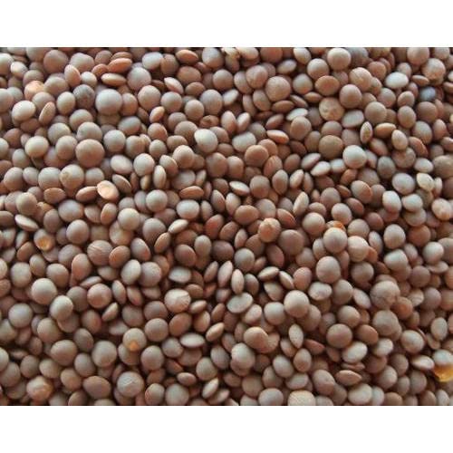 500 g Bio-Linsen, vegan, glutenfrei, Hülsenfrüchte, geteilt, ganze Daal, Curry, Saucier, Masoor, Moong, Bengal, Gramm, Braun 500 g Bio-Linsen, vegan, glutenfrei, Hülsenfrüchte, geteilt, ganze Daal, Curry, Saucier, Masoor, Moong, Bengal, Gramm, Braun von Balsara's