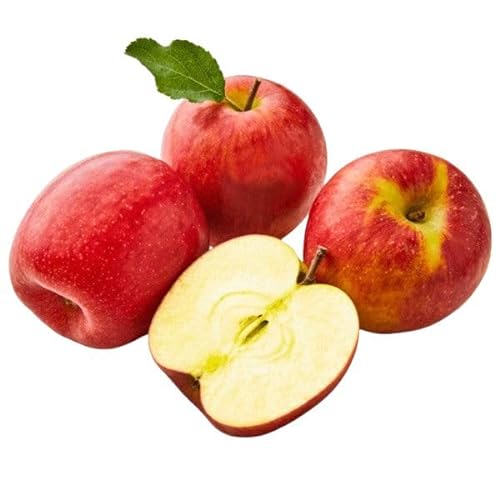 BAMELO® Äpfel Jazz Apfelbox 3 Kg. von Bamelo