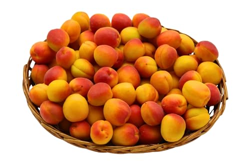 Aprikosen frische Kiste 4 Kg von Bamelo