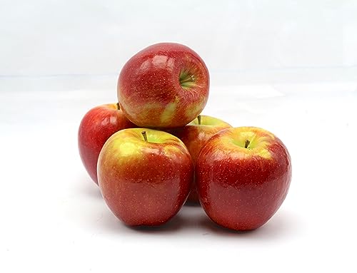BAMELO® Äpfel Royal Gala frische,säftige Äpfel Box 3 Kg von Bamelo