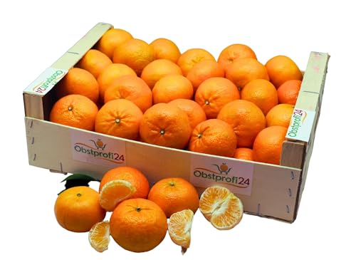 BAMELO® Clementinen Mandarinen frische Zitriusbox 3Kg von Bamelo