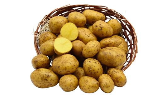 BAMELO® KartoffelnAnnabelle festkochend aktuellen Ernte aus der Rheinland 6 Kg von Bamelo