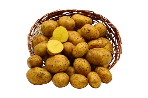 BAMELO® Kartoffeln Annabelle festkochend aktuellen Ernte aus der Rheinland 12,5 KG von Bamelo