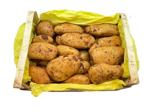BAMELO® Kartoffeln Spunta aktuellen Ernte 15 KG von Bamelo