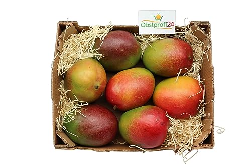 BAMELO® Mango frische exotiche Mangos Box 7 Stück von Bamelo