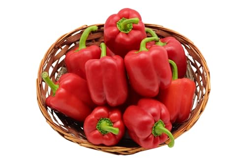 BAMELO® Roter Paprika frisch schnell Versand direkt vom Großmarkt 1Kg von Bamelo