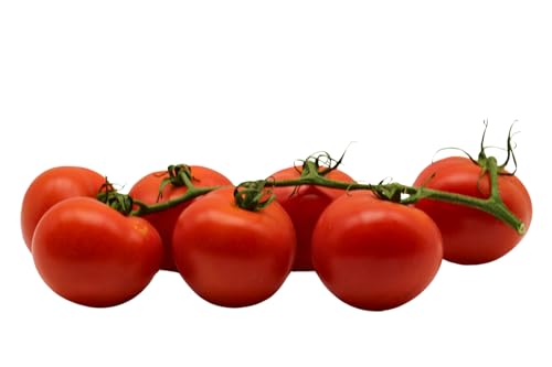 BAMELO® Tomaten frische Strauch Tomaten Kiste 5 Kg von Bamelo